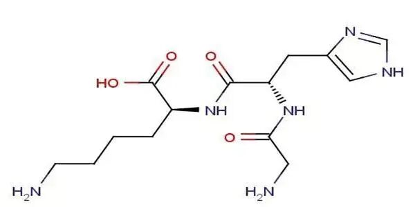 寡肽對皮膚的重要性